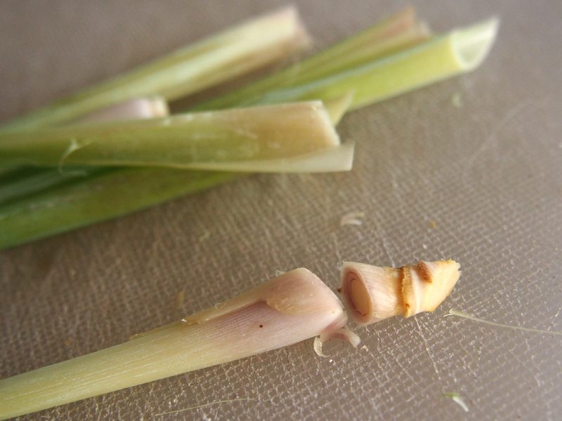 citronnelle