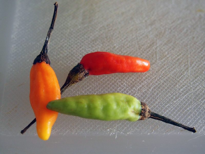 piments thaïs