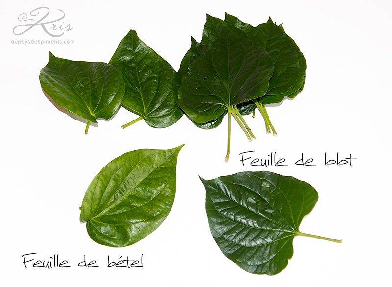 Feuille de bétel