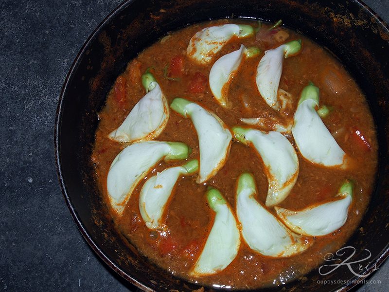 fleurs de colibri végétal en curry