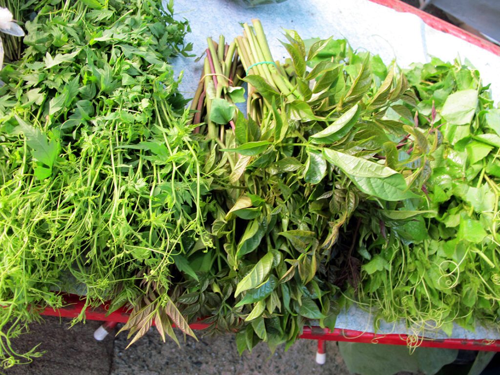 Les légumes et herbes