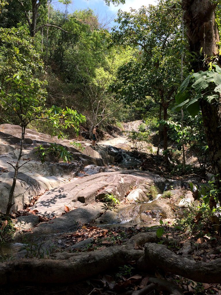 parc national de Thale Bahn