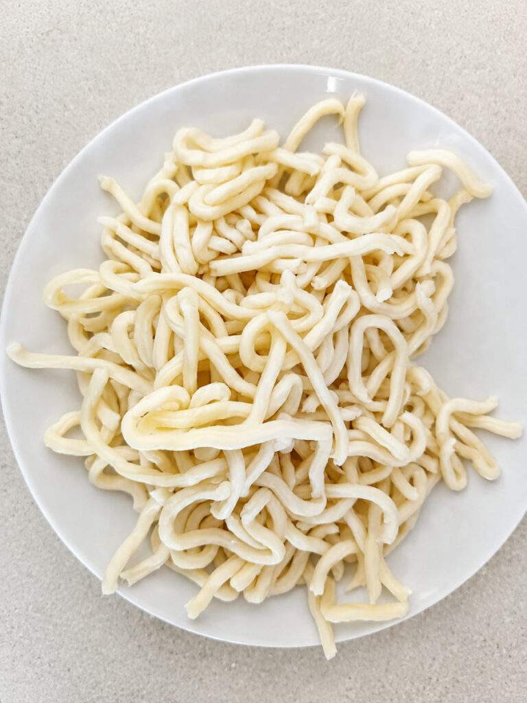Nouilles udon fraîches préparées dans une assiette blanche